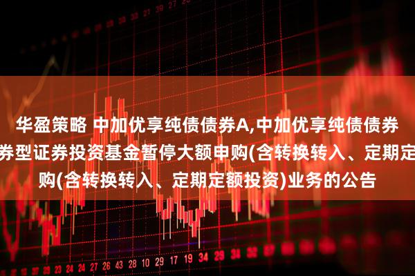 华盈策略 中加优享纯债债券A,中加优享纯债债券C: 中加优享纯债债券型证券投资基金暂停大额申购(含转换转入、定期定额投资)业务的公告